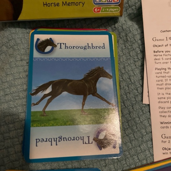 Hooray for Horses Card Game - Picture 3 of 9